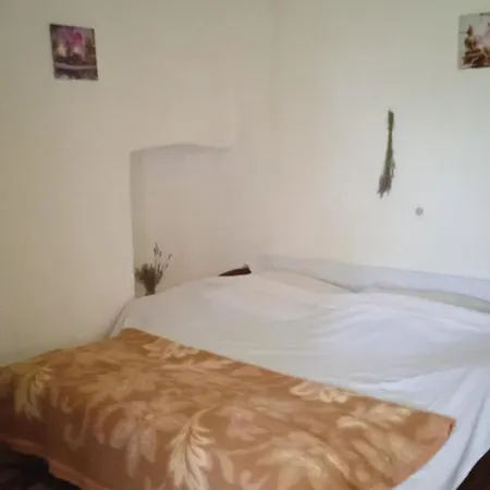 House 100 Y Old In Nature, 12km To Np Krka, Min 3 People Holiday home Razvode